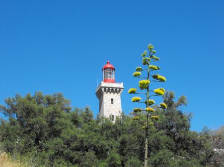 Appartement F3 &agrave; louer - 3 pi&egrave;ces - 33 m2 - Argeles Sur Mer - 66 - LANGUEDOC-ROUSSILLON