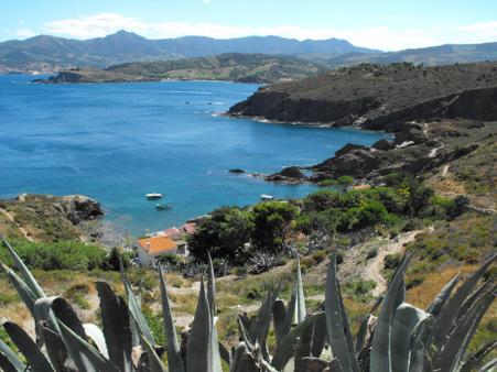 Appartement F2 &agrave; louer - 3 pi&egrave;ces - 37,15 m2 - Argeles Sur Mer - 66 - LANGUEDOC-ROUSSILLON