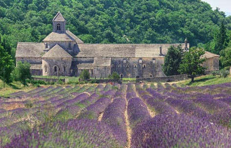 Les édifices religieux historiques de la France : de Chartreuse à Ermitage.(2/3)