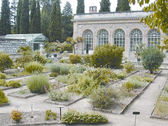 Montpellier - jardin des plantes