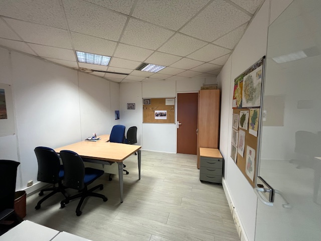 Bureaux à louer - 300.0 m2 - 81 - Tarn