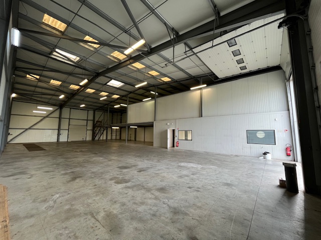 Local commercial à louer - 1065.0 m2 - 81 - Tarn