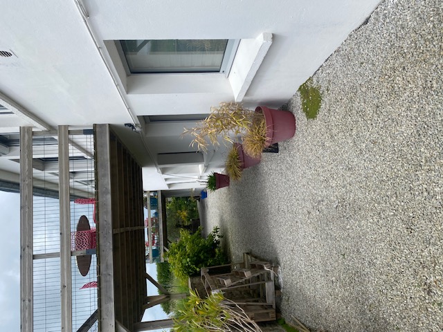 Hôtel à vendre - 1000.0 m2 - 29 - Finistere