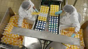  à vendre - 100.0 m2 - 29 - Finistere