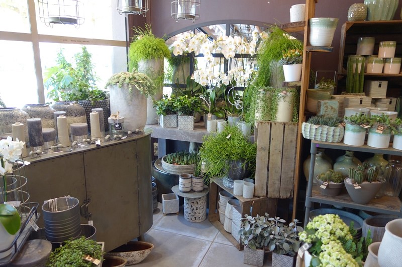 Tous commerces à vendre - 35.0 m2 - 29 - Finistere