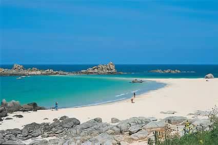 Bar à vendre - 400.0 m2 - 29 - Finistere