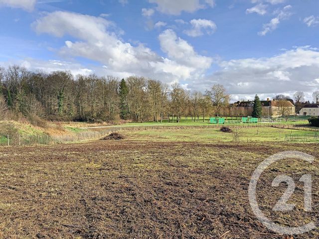 terrain - LA CHAPELLE GAUTHIER - 77