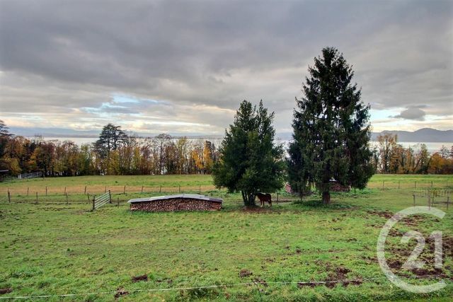 Maison &agrave; vendre - 6 pi&egrave;ces - 180 m2 - Lugrin - 74 - RHONE-ALPES