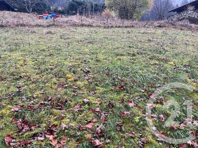 Terrain &agrave; vendre - 2007 m2 - Novel - 74 - RHONE-ALPES