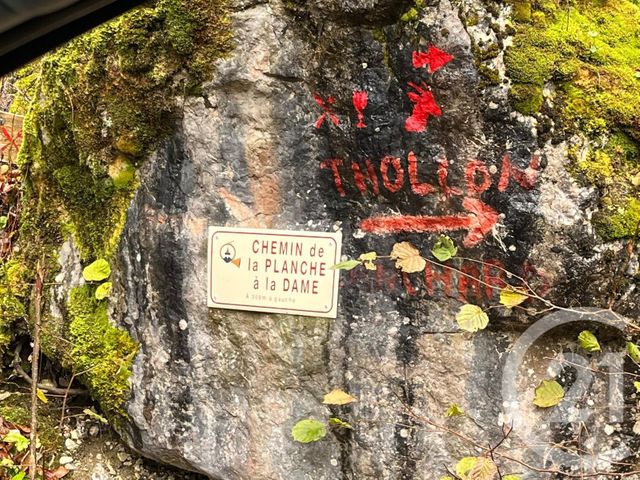 Terrain &agrave; vendre - 2007 m2 - Novel - 74 - RHONE-ALPES