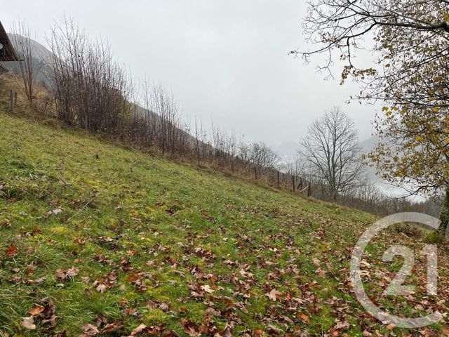 Terrain &agrave; vendre - 2007 m2 - Novel - 74 - RHONE-ALPES