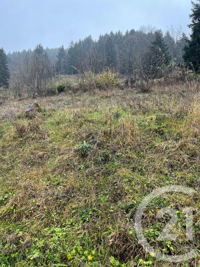 Terrain &agrave; vendre - 2007 m2 - Novel - 74 - RHONE-ALPES