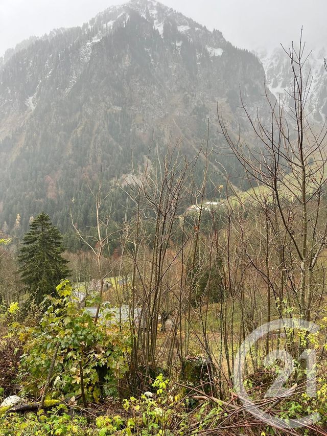 Terrain &agrave; vendre - 2007 m2 - Novel - 74 - RHONE-ALPES