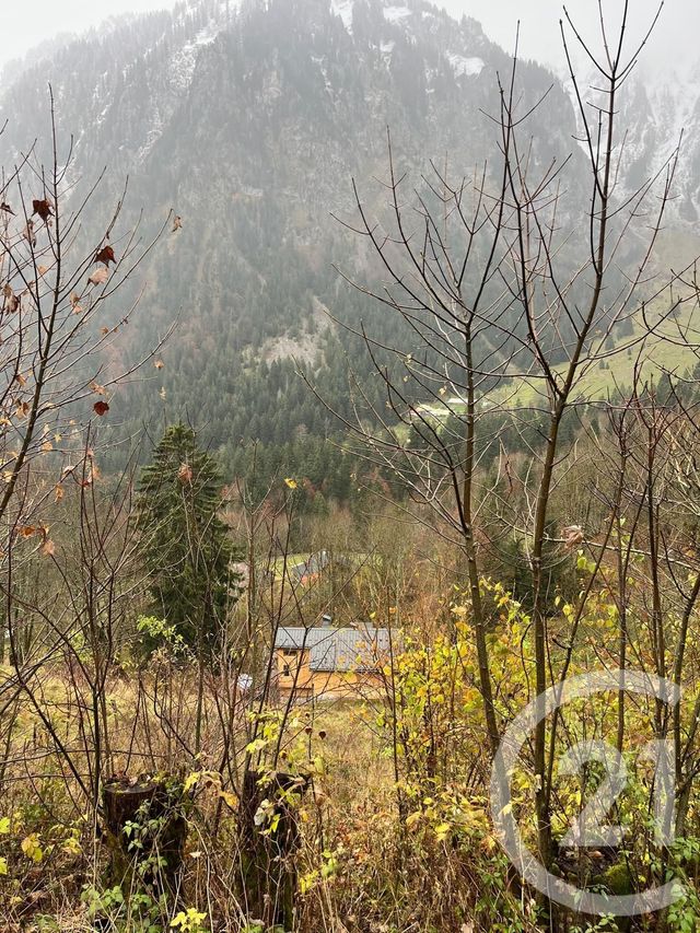 Terrain &agrave; vendre - 2007 m2 - Novel - 74 - RHONE-ALPES