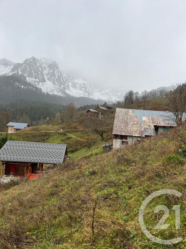 Terrain &agrave; vendre - 2007 m2 - Novel - 74 - RHONE-ALPES