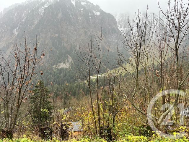 Terrain &agrave; vendre - 2007 m2 - Novel - 74 - RHONE-ALPES