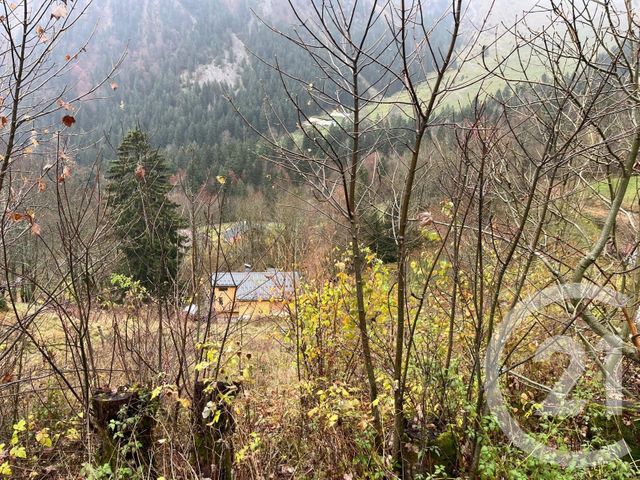 Terrain &agrave; vendre - 2007 m2 - Novel - 74 - RHONE-ALPES