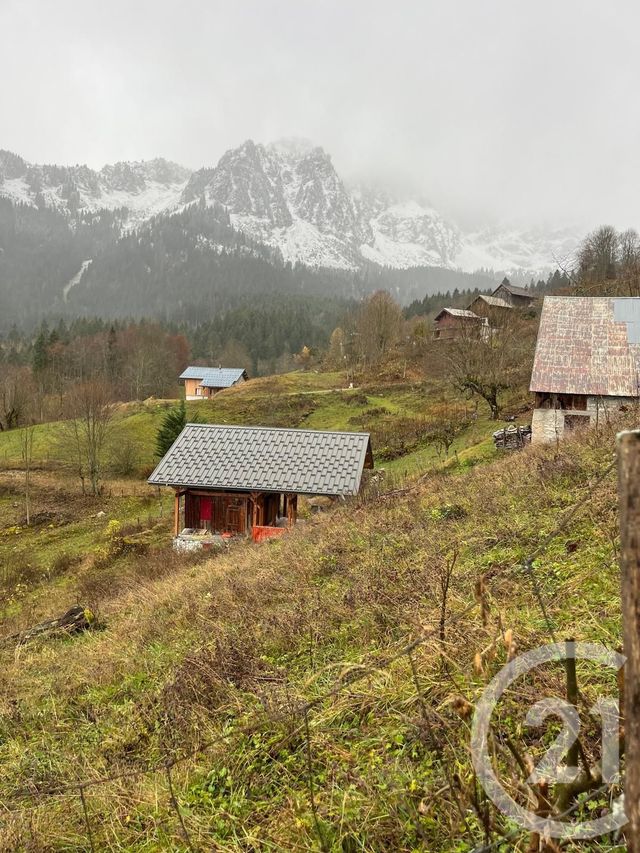 Terrain &agrave; vendre - 2007 m2 - Novel - 74 - RHONE-ALPES