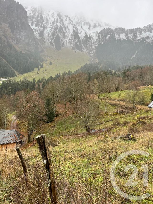 Terrain &agrave; vendre - 2007 m2 - Novel - 74 - RHONE-ALPES