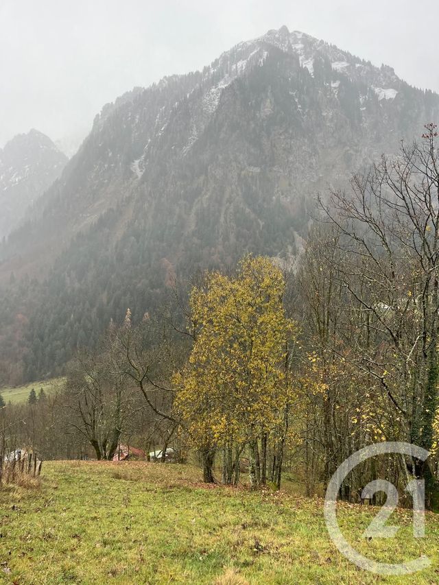 Terrain &agrave; vendre - 2007 m2 - Novel - 74 - RHONE-ALPES