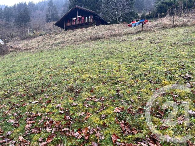 Terrain &agrave; vendre - 2007 m2 - Novel - 74 - RHONE-ALPES