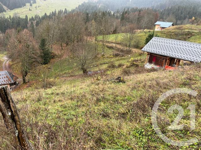 terrain - NOVEL - 74