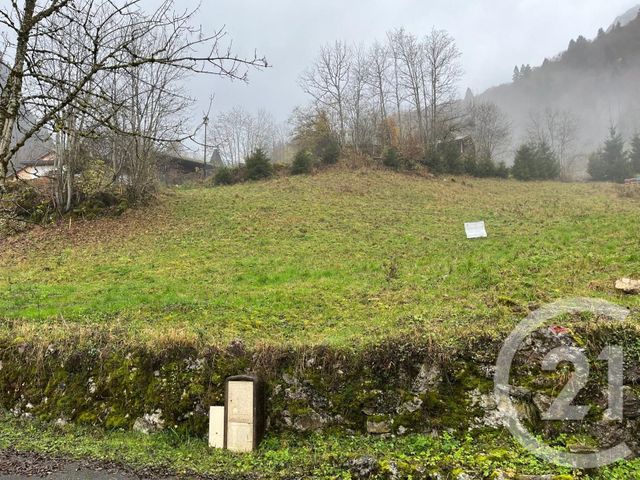 terrain - NOVEL - 74