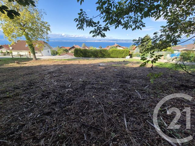 Terrain &agrave; vendre - 1052 m2 - Neuvecelle - 74 - RHONE-ALPES