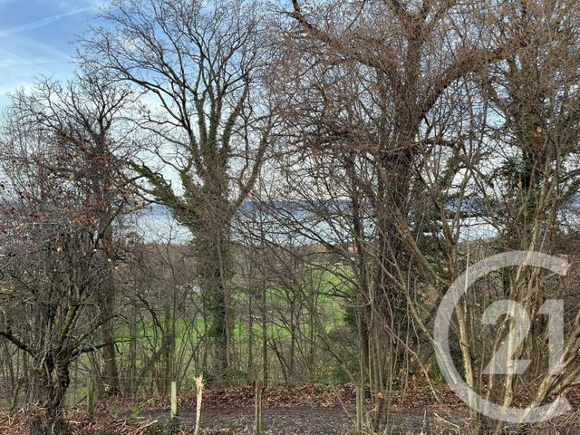 Terrain &agrave; vendre - 1458 m2 - Maxilly Sur Leman - 74 - RHONE-ALPES