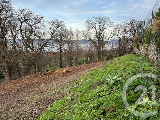 Terrain &agrave; vendre - 1458 m2 - Maxilly Sur Leman - 74 - RHONE-ALPES
