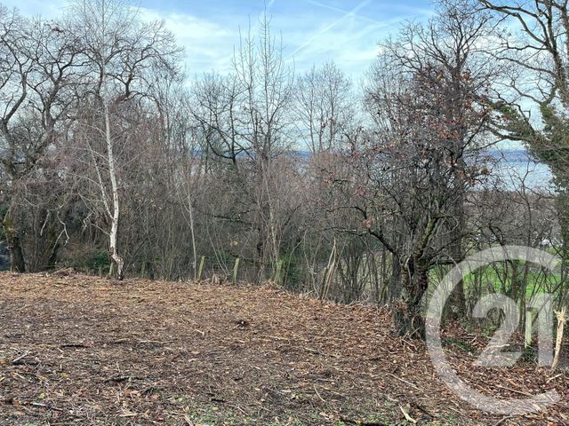 Terrain &agrave; vendre - 1458 m2 - Maxilly Sur Leman - 74 - RHONE-ALPES