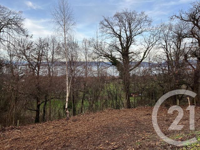 Terrain &agrave; vendre - 1458 m2 - Maxilly Sur Leman - 74 - RHONE-ALPES