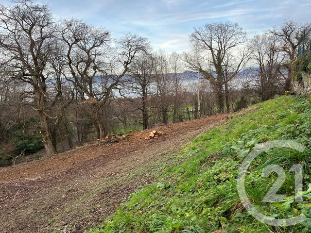 Terrain &agrave; vendre - 1458 m2 - Maxilly Sur Leman - 74 - RHONE-ALPES