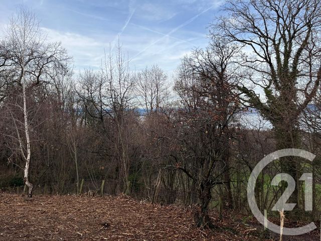 Terrain &agrave; vendre - 1458 m2 - Maxilly Sur Leman - 74 - RHONE-ALPES
