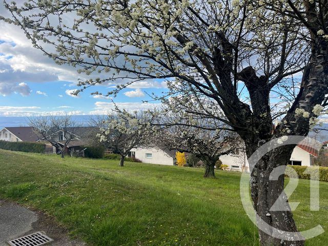 Terrain &agrave; vendre - 561 m2 - Neuvecelle - 74 - RHONE-ALPES