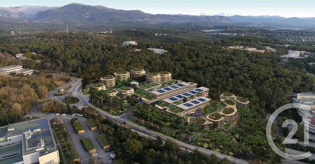 Appartement T3 à vendre - 3 pièces - 59,60 m2 - Valbonne - 06 - PROVENCE-ALPES-COTE-D-AZUR