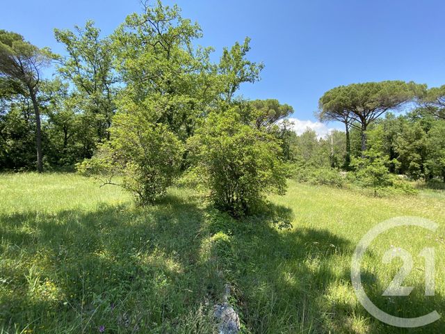 Terrain &agrave; vendre - 1552 m2 - Valbonne - 06 - PROVENCE-ALPES-COTE-D-AZUR