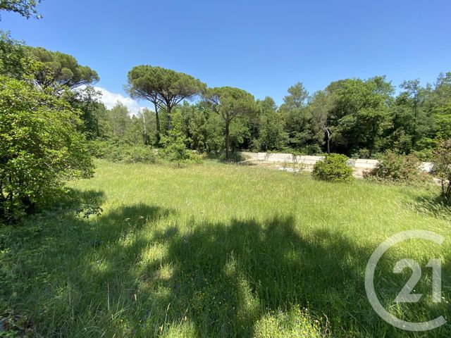 Terrain &agrave; vendre - 1552 m2 - Valbonne - 06 - PROVENCE-ALPES-COTE-D-AZUR