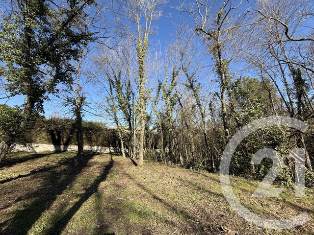 terrain - VALBONNE - 06