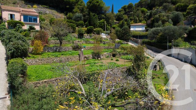 Terrain &agrave; vendre - 1529 m2 - Vallauris - 06 - PROVENCE-ALPES-COTE-D-AZUR