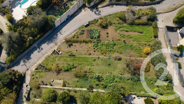 Terrain &agrave; vendre - 1529 m2 - Vallauris - 06 - PROVENCE-ALPES-COTE-D-AZUR