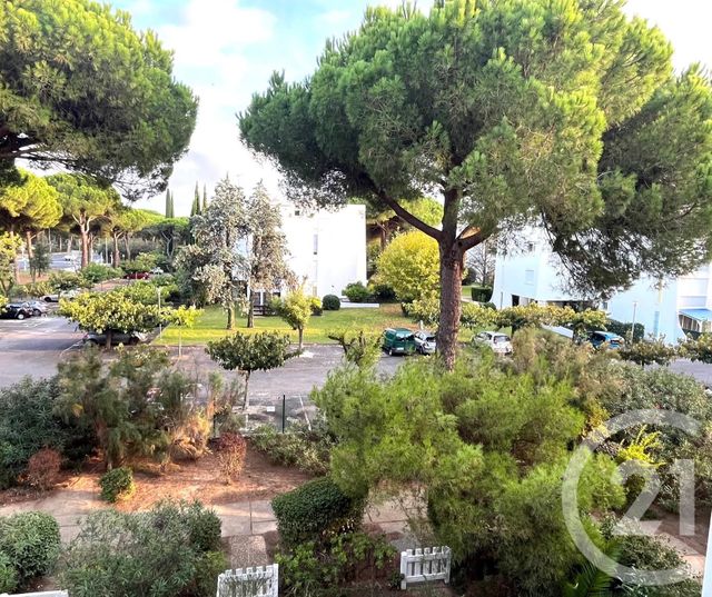Appartement Studio Cabine &agrave; louer - 1 pi&egrave;ce - 24,15 m2 - La Grande Motte - 34 - LANGUEDOC-ROUSSILLON