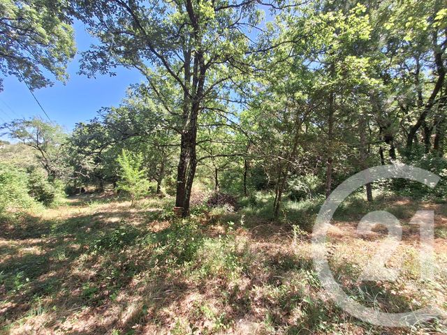 Terrain &agrave; vendre - 1759 m2 - Mons - 30 - LANGUEDOC-ROUSSILLON