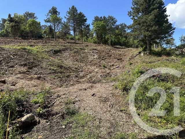 Terrain &agrave; vendre - 4066 m2 - Ales - 30 - LANGUEDOC-ROUSSILLON