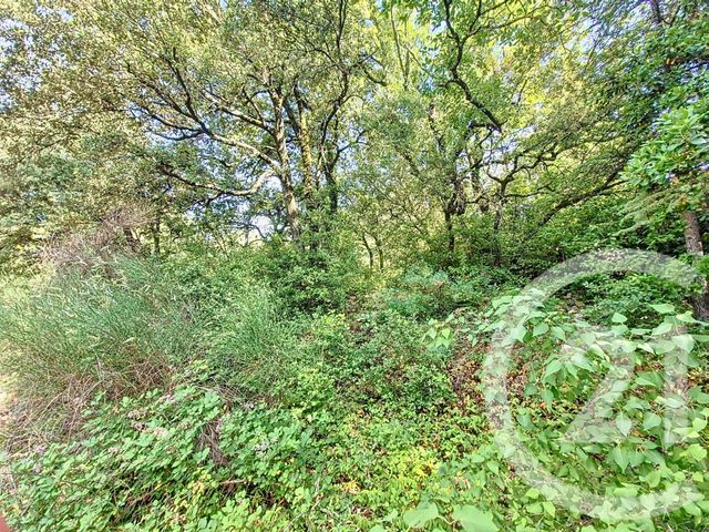 Terrain &agrave; vendre - 1040 m2 - La Grand Combe - 30 - LANGUEDOC-ROUSSILLON