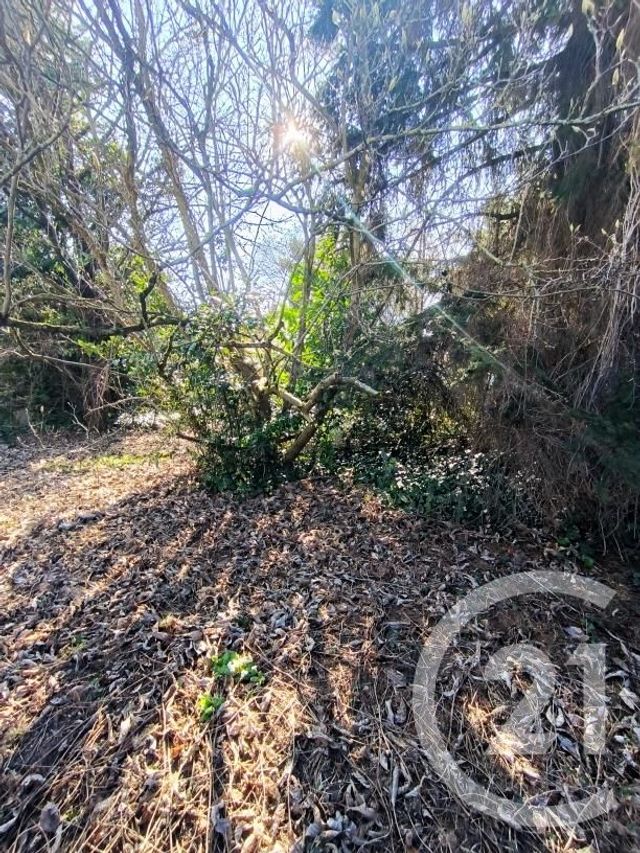 Maison à vendre - 6 pièces - 122,94 m2 - Morangis - 91 - ILE-DE-FRANCE