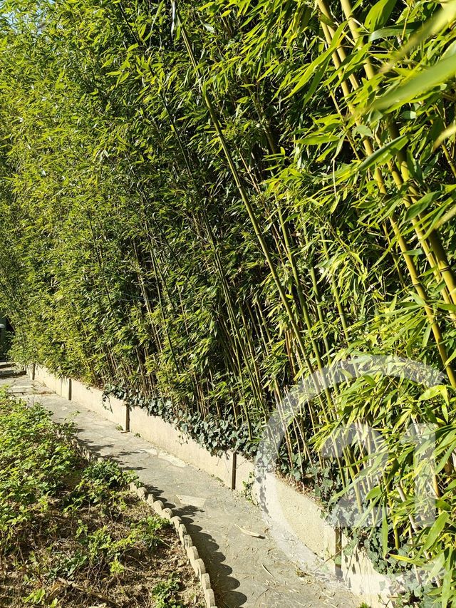 Maison &agrave; vendre - 7 pi&egrave;ces - 150 m2 - Chilly Mazarin - 91 - ILE-DE-FRANCE