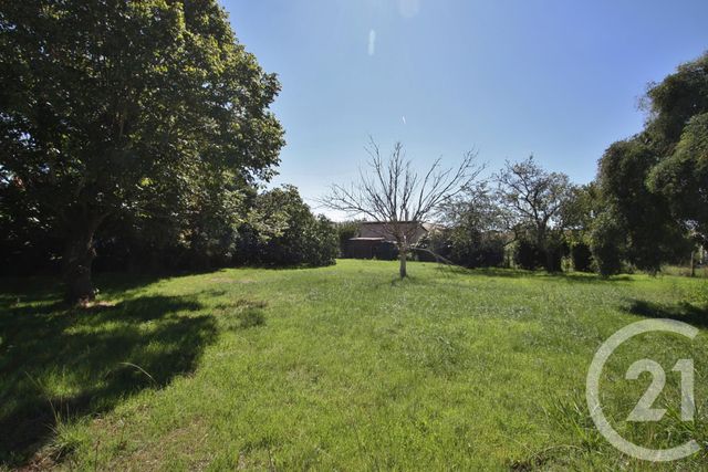 Terrain &agrave; vendre - 932 m2 - Muret - 31 - MIDI-PYRENEES
