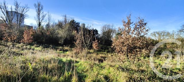 Terrain &agrave; vendre - 5681 m2 - Toulouse - 31 - MIDI-PYRENEES