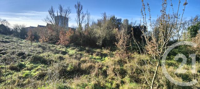 Terrain &agrave; vendre - 5681 m2 - Toulouse - 31 - MIDI-PYRENEES